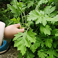 青团还是艾草粑粑？的做法图解1