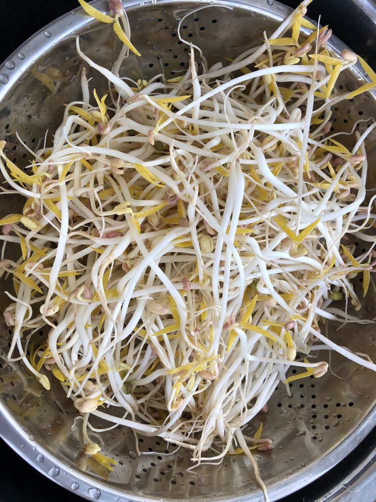 【居家隔离】自制蔬菜之《豆芽篇》史上最详细保姆级教程的做法
