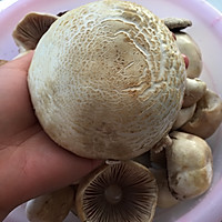 草原白蘑菇水饺的做法图解3