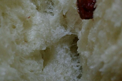 自制酸奶奶油蔓越莓吐司面包