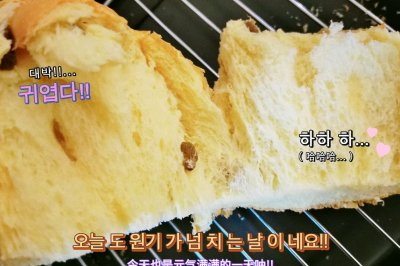 松下面包机（pm-105）超柔软面包（手残党请进）