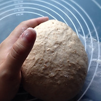 黑啤全麦面包Stout Bread（附Boule整型手法）的做法图解8