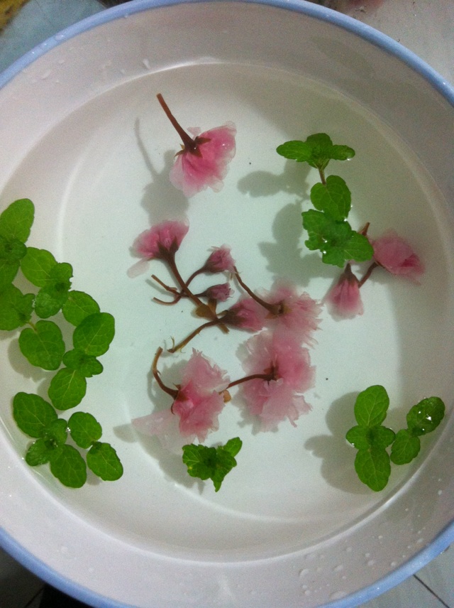 樱花镜面草莓慕斯的做法图解12