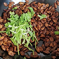 #少盐饮食 轻松生活#简单好吃～炒蚕蛹的做法图解7