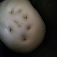 【小烤箱也有春天】紫薯花儿面包#九阳烘焙剧场#的做法图解5