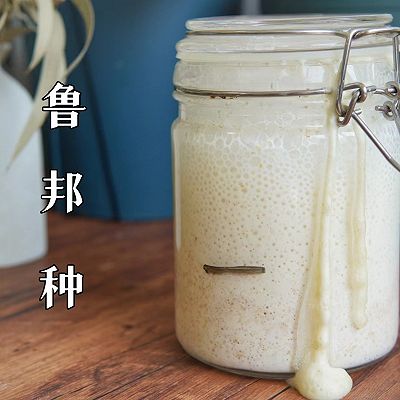 让面包变好吃的秘籍-全麦起种「鲁邦种」