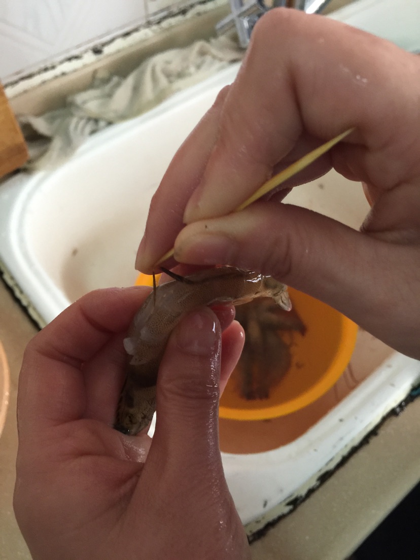 美味的香辣大虾的做法图解2