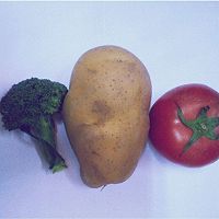 芝心土豆的做法图解1