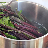 防雾霾，高汤紫菜心的做法图解3