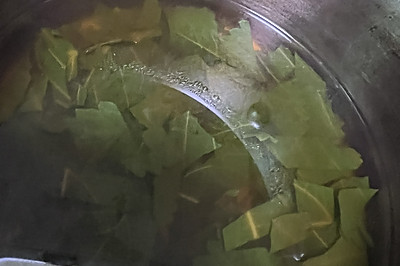 紫苏叶煮水