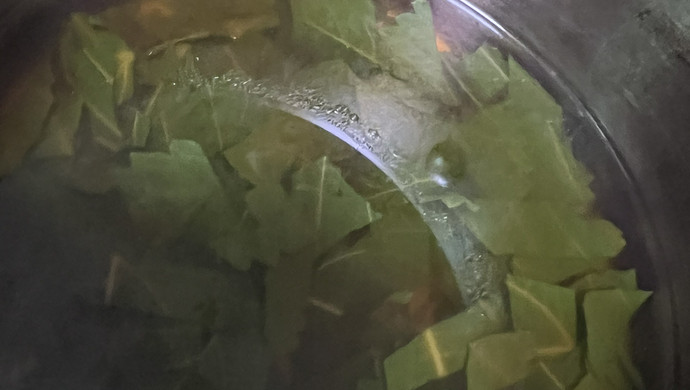 紫苏叶煮水