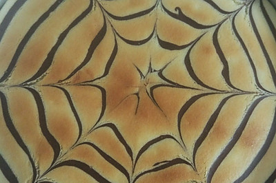 零失败超详细版轻乳酪蛋糕（八寸）