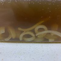肉皮冻（水晶皮冻 传统皮冻）的做法图解11
