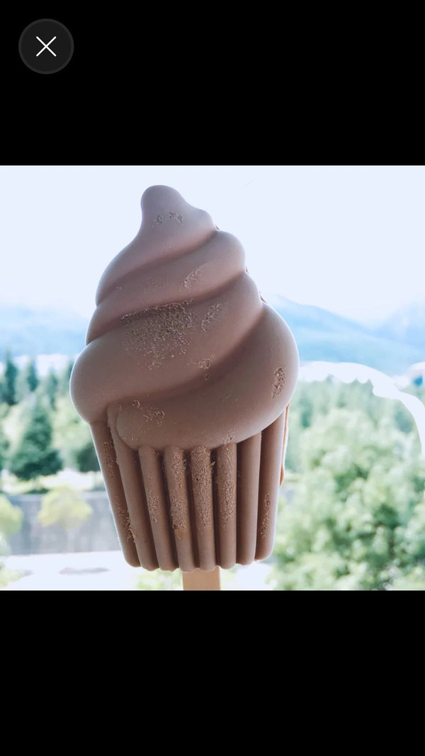 巧克力冰淇淋棒冰