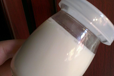 自制酸奶—纯天然酸奶机