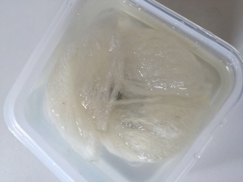 雪莲燕窝的做法图解2
