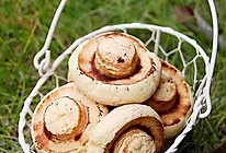 蘑菇造型饼干的做法