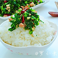 【超级下饭菜】肉末雪里蕻（雪里红）的做法图解8