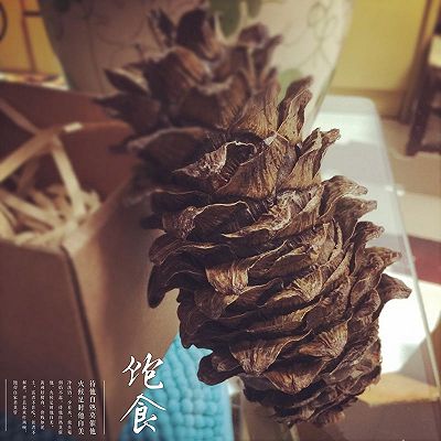 做一只开心的松鼠——剥松子