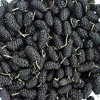 蜂蜜桑椹酱的做法图解1
