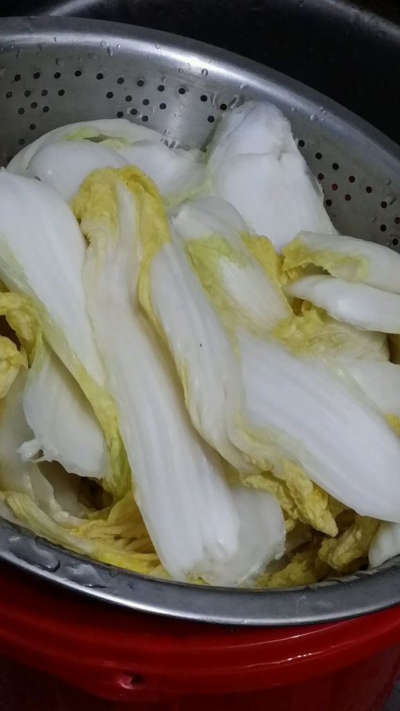 酸辣泡菜的做法图解4