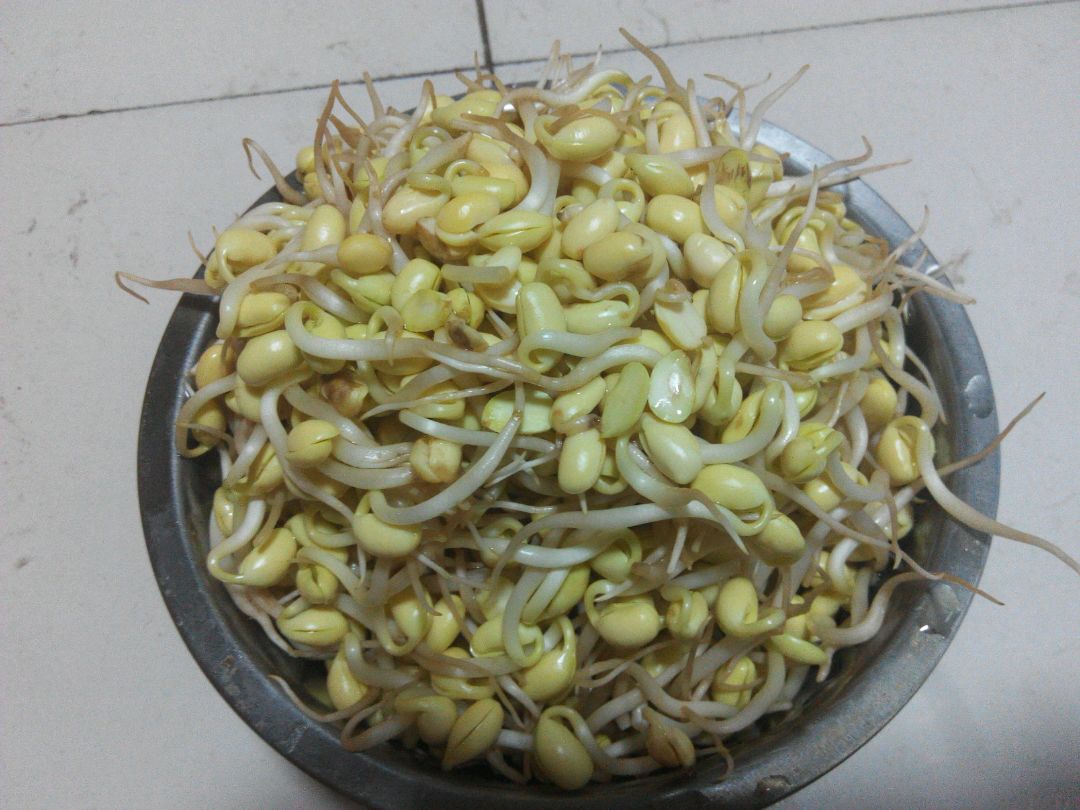 豆芽炒大肉的做法图解1