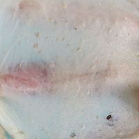 基础牛奶餐包/汉堡胚（一次发酵，极简材料）的做法图解6