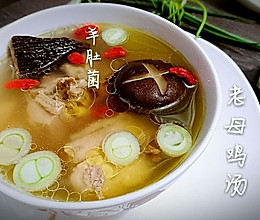 羊肚菌老母鸡汤【菌菇鸡汤】-蜜桃爱营养师私厨健康煲汤的做法