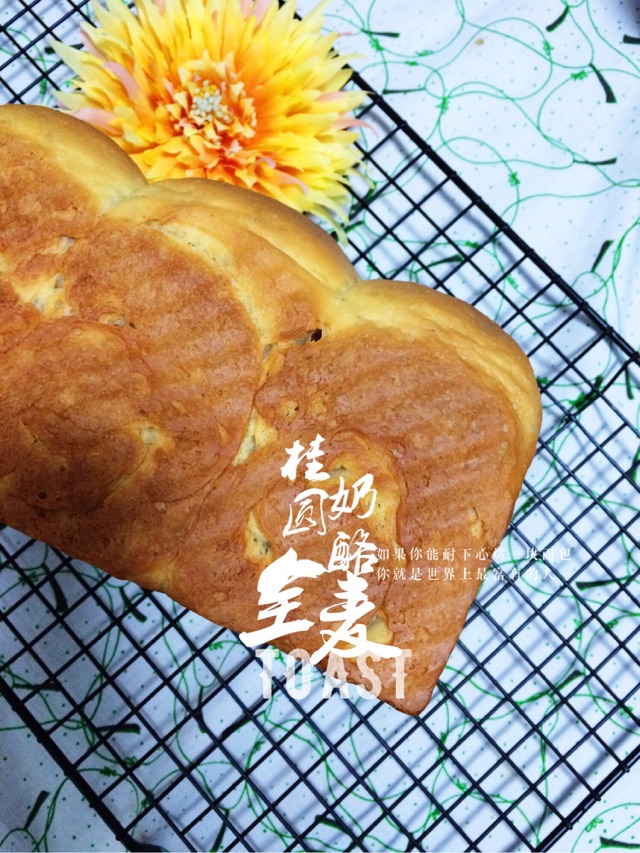 【女王厨房】桂圆奶酪全麦吐司（中种无油）的做法图解11
