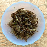韭菜虾仁肉饺的做法图解2