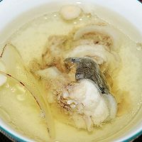 川贝陈皮炖鳄鱼的做法图解4