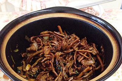 干锅牛肉茶树菇