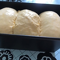柔软的牛奶吐司面包（汤种法）的做法图解12