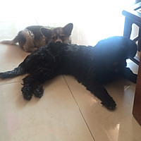 自制酸奶➕吐司的做法图解7