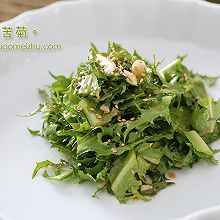 夏末苦菊