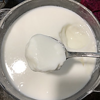 手工酸奶的做法图解6