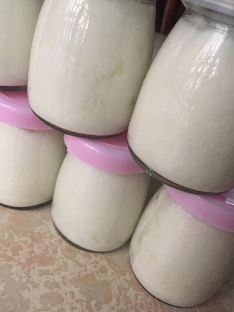 老酸奶（希腊）！的做法