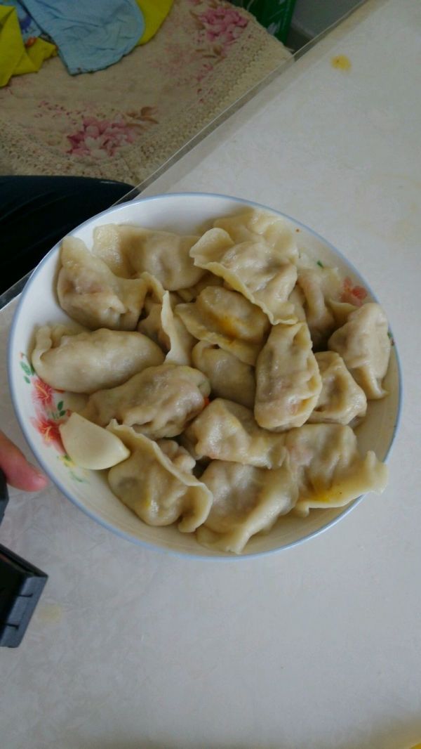 家常羊肉胡萝卜饺子