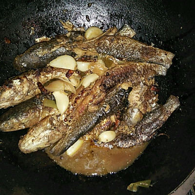 鲜梭鱼