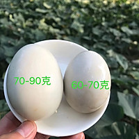 万氏烤海鸭蛋腌制方法的做法图解2
