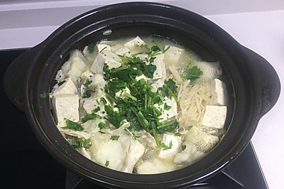 黑椒砂锅鱼头豆腐汤