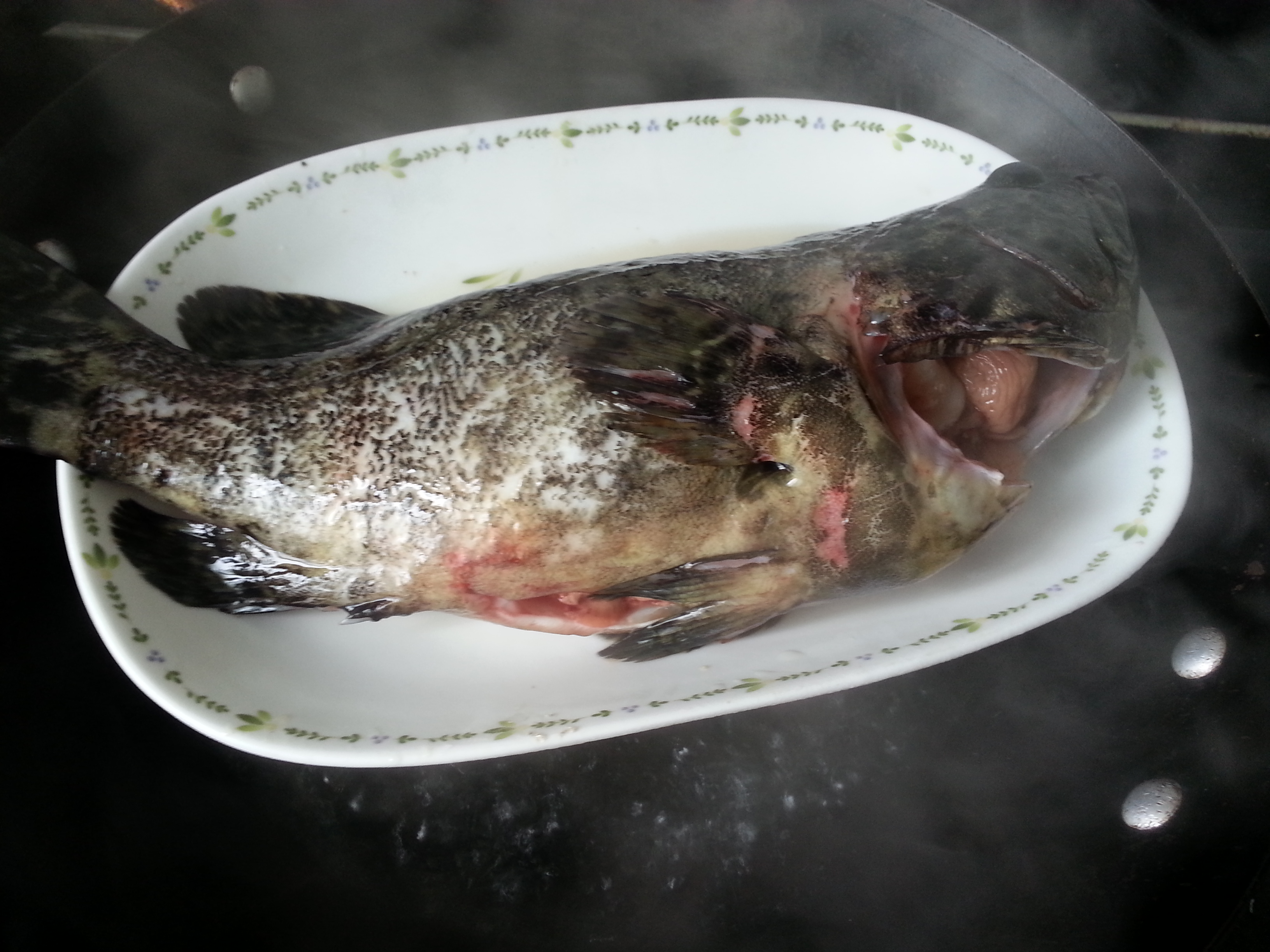 清蒸石斑鱼的做法_清蒸石斑鱼怎么做_清蒸石斑鱼的家常做法_veki【心食谱】