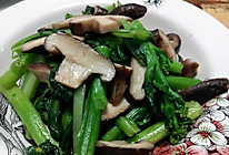 【新手必备】蘑菇炒油菜的做法