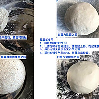 馒头的做法的做法图解4