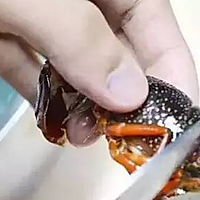 莎吉亚小编推荐食谱之-辣炒小龙虾的做法图解1