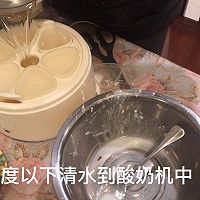 自制零添加酸奶的做法图解7