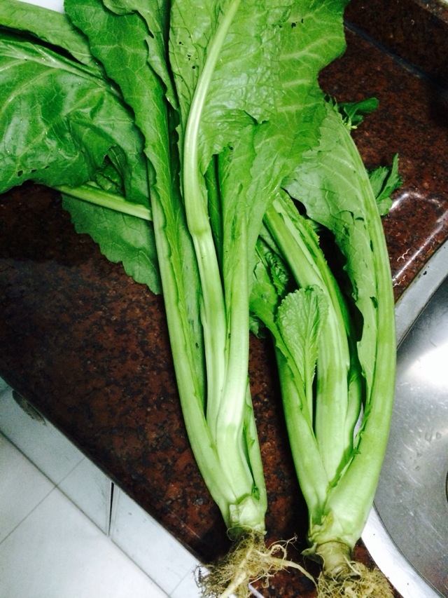 春菜排骨煲怎么做 春菜排骨煲的做法 豆果美食