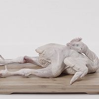 【肉类挑选】轻松挑到小鲜肉，速成买菜高手！的做法图解4