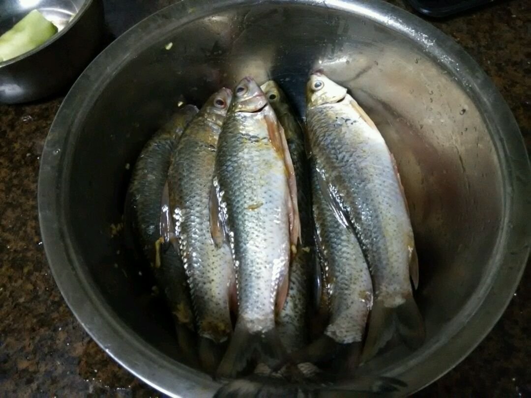 想着豆鼓鲮鱼罐头做的怎么做_想着豆鼓鲮鱼罐头做的的做法_豆果美食