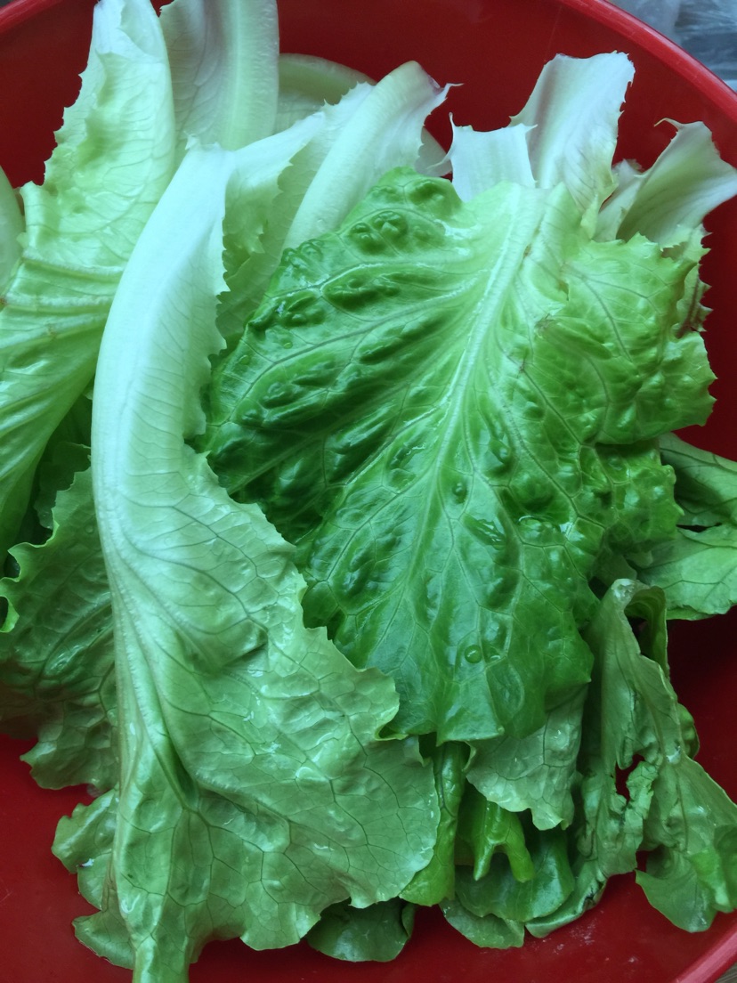 麻油生菜的做法图解1